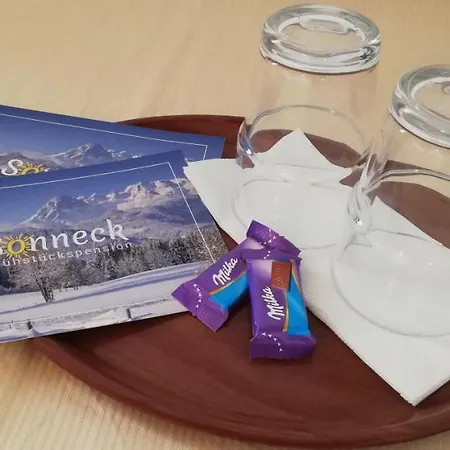 Πανσιόν Sonneck *